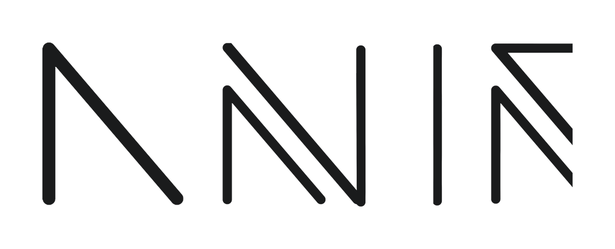 ANIR logo — black letterforms on mist